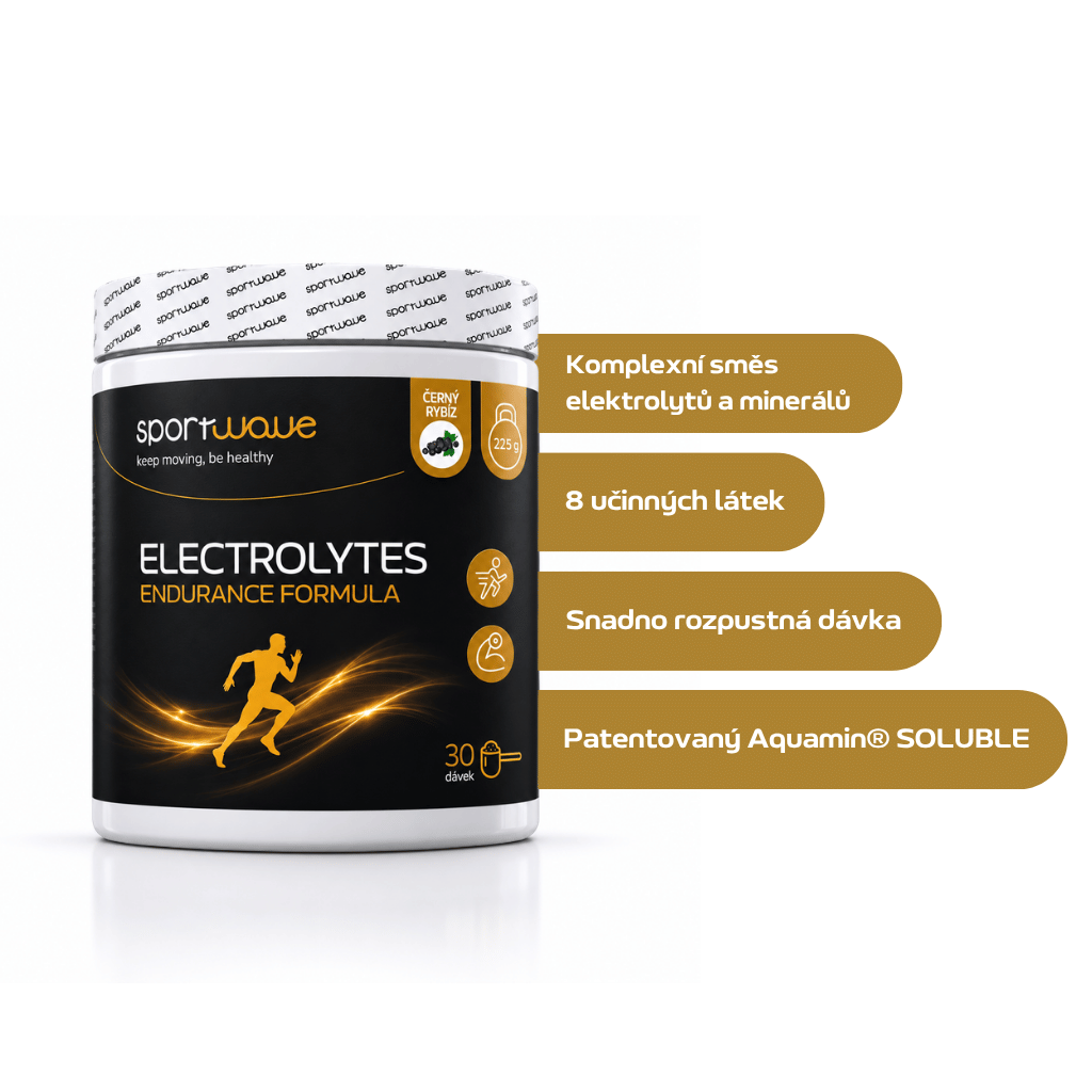 Electrolytes endurance formula - černý rybíz  - slozeni_1